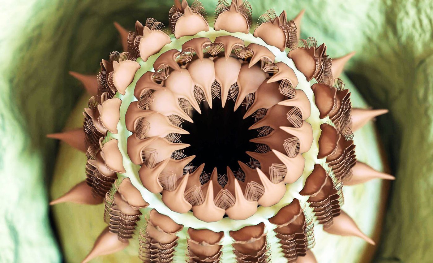 Дирижер кеуделері