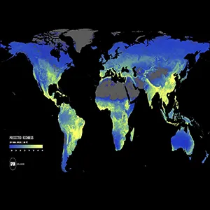 High-resolution map of from SPUN's Underground Atlas showing predicted arbuscular mycorrhizal biodiversity patterns across underground ecosystems. Bright colors indicate higher richness and endemism. Credit: SPUN
