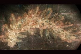 News article thumbnail
