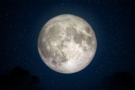 News article thumbnail