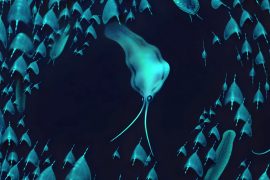News article thumbnail
