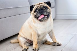 News article thumbnail
