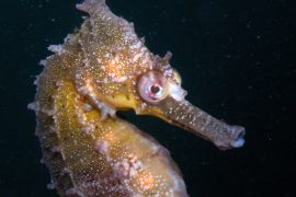News article thumbnail