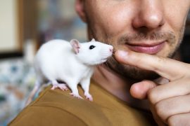 News article thumbnail