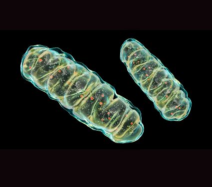 medium thumb with excerpt image