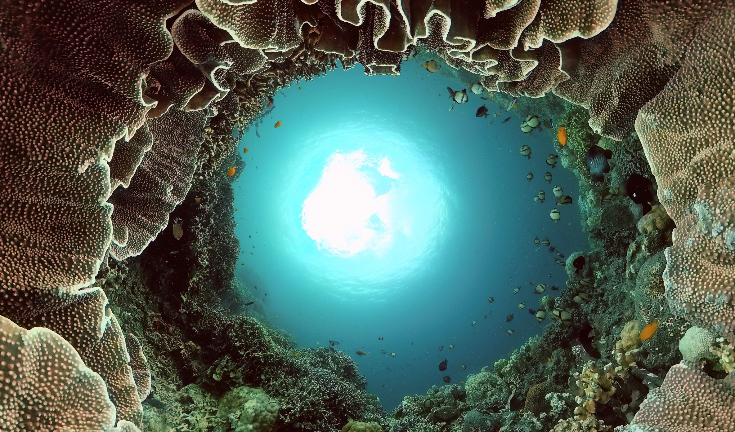 Marine Protected Areas Day: Ocean protection needs human connection