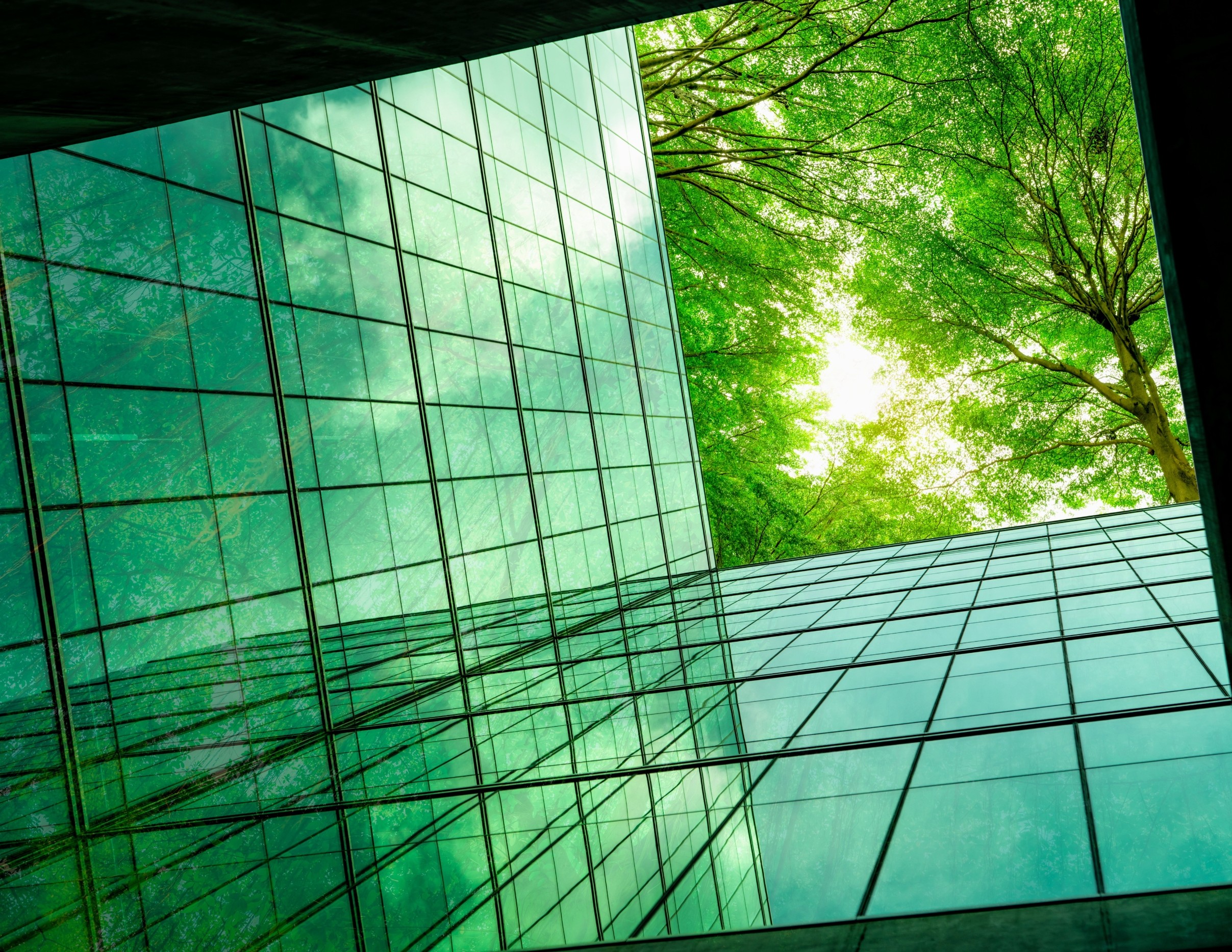 Climate solutions are failing - but they can still be fixed