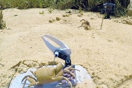 News article thumbnail