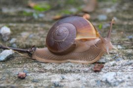 News article thumbnail