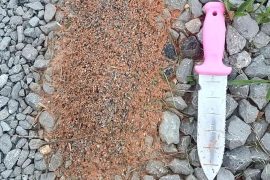 News article thumbnail