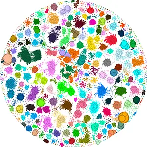 The coincident relationships of predictable genes and their predictors. The nodes are gene families, or groups of gene families with the same PAP, and the edges are coincidence relationships with the arrow pointing at the node whose presence is predicted by the other. Credit: PNAS