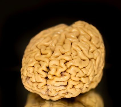 medium thumb with excerpt image