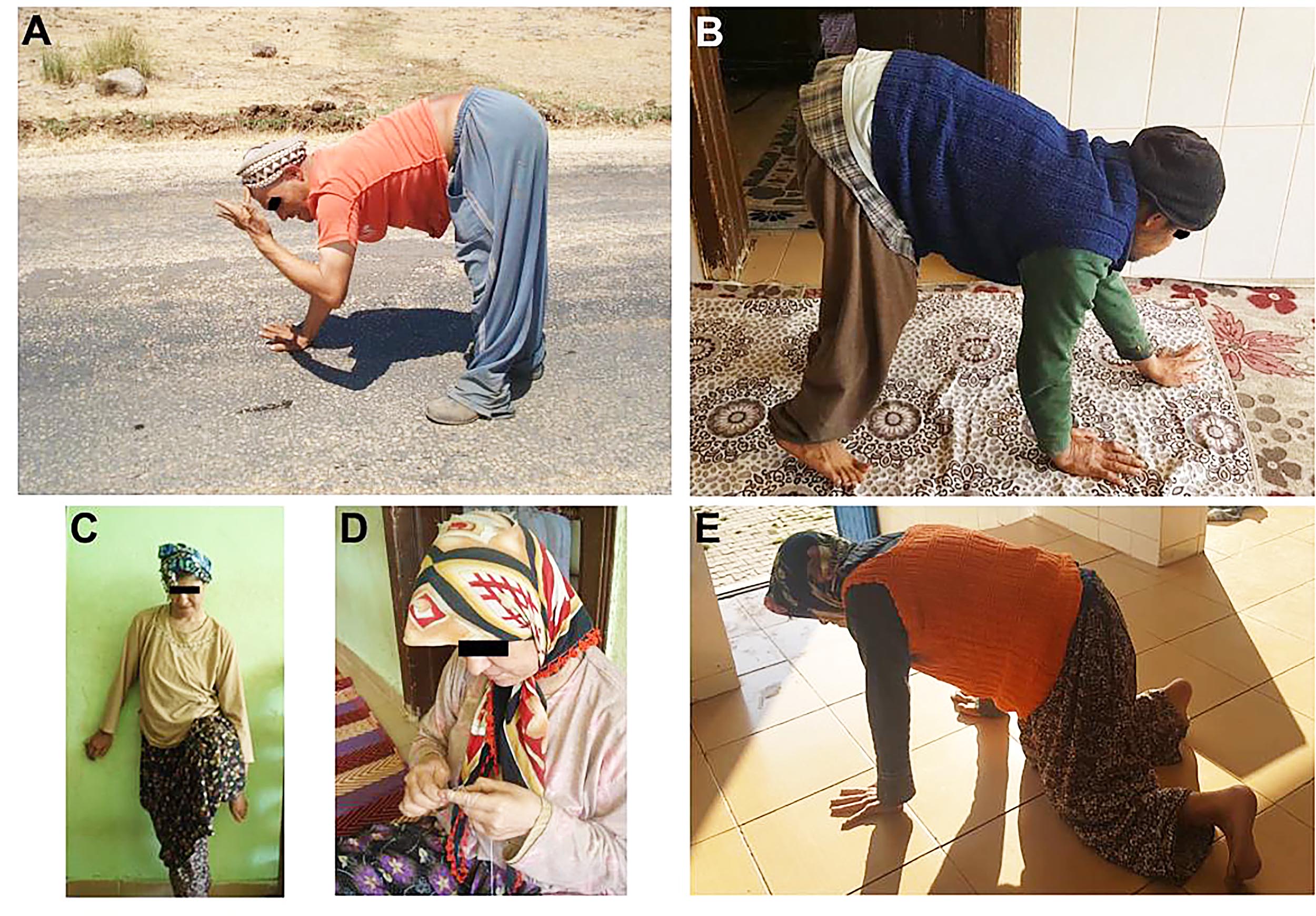 Family that walks on all fours challenges human evolution theory ...