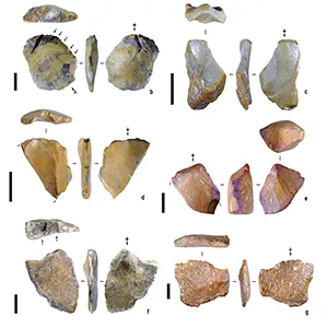 Stone tools were excavated from Calio, Sulawesi, and dated to over 1.04 million years ago. The scale bars are 10 mm. Credit: M.W. Moore/University of New England