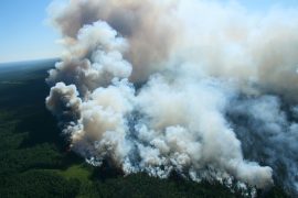 News article thumbnail