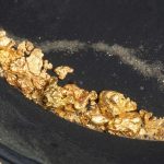 Find a new gold mine in an unexplored area of South America