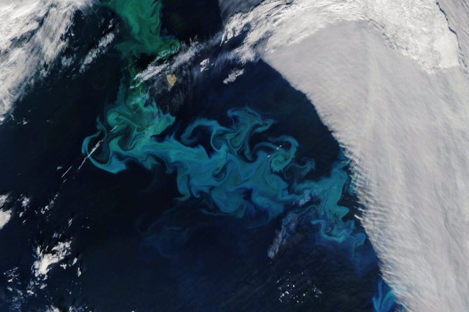 Phytoplankton bloom transforms the Barents Sea 