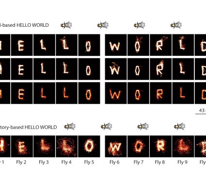 medium thumb with excerpt image