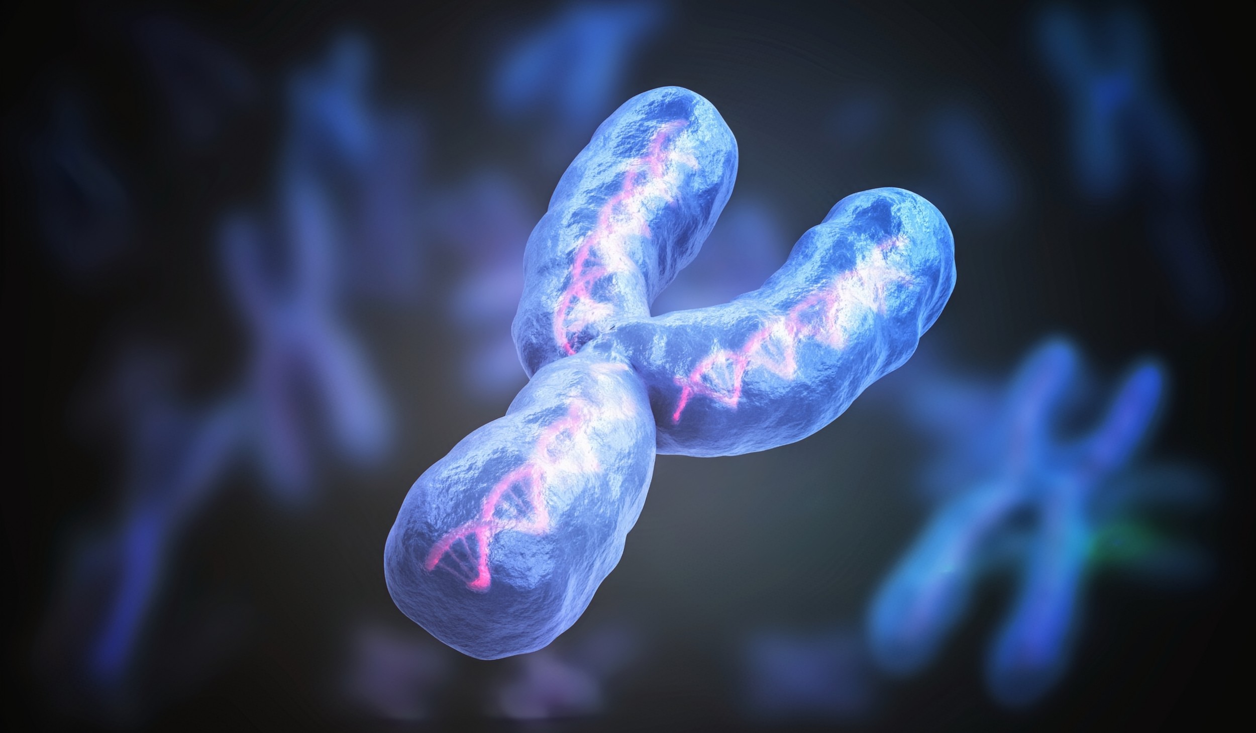 Men’s heart health tied to Y chromosome loss with age