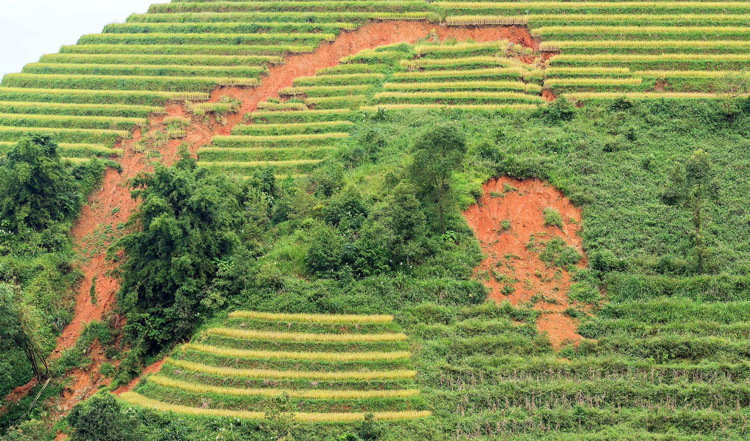 Humans began causing global soil erosion much earlier than previously thought