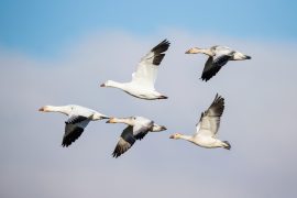 News article thumbnail