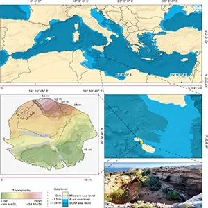Top, the position of Malta in the Mediterranean. Bottom left, digital elevation model of Latnija, showing the current dripline in dashed lines. Bottom right, the site, showing the sea channel and Gozo in the background, with past sea levels based on a previous study49. LGM, Last Glacial Maximum; MASL, metres above sea level. Credit: Nature