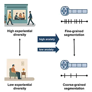 "Individual differences in experiential diversity shape event segmentation granularity," published in iScience, investigated whether this can be partly explained by the diversity of our everyday experiences.