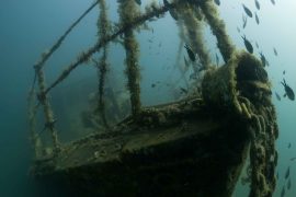 News article thumbnail