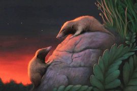 News article thumbnail