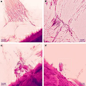 Examples of diverse Hα features outside the solar disk imaged with adaptive optics correction. Credit: Nature Astronomy