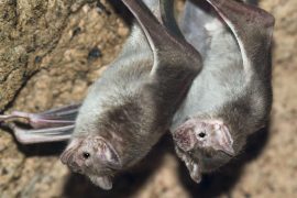 News article thumbnail