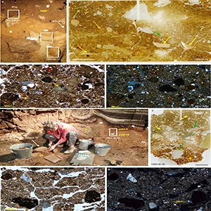 Microstratigraphy (micromorphology) of sediment blocks from South Chamber. Credit: Nature Communications