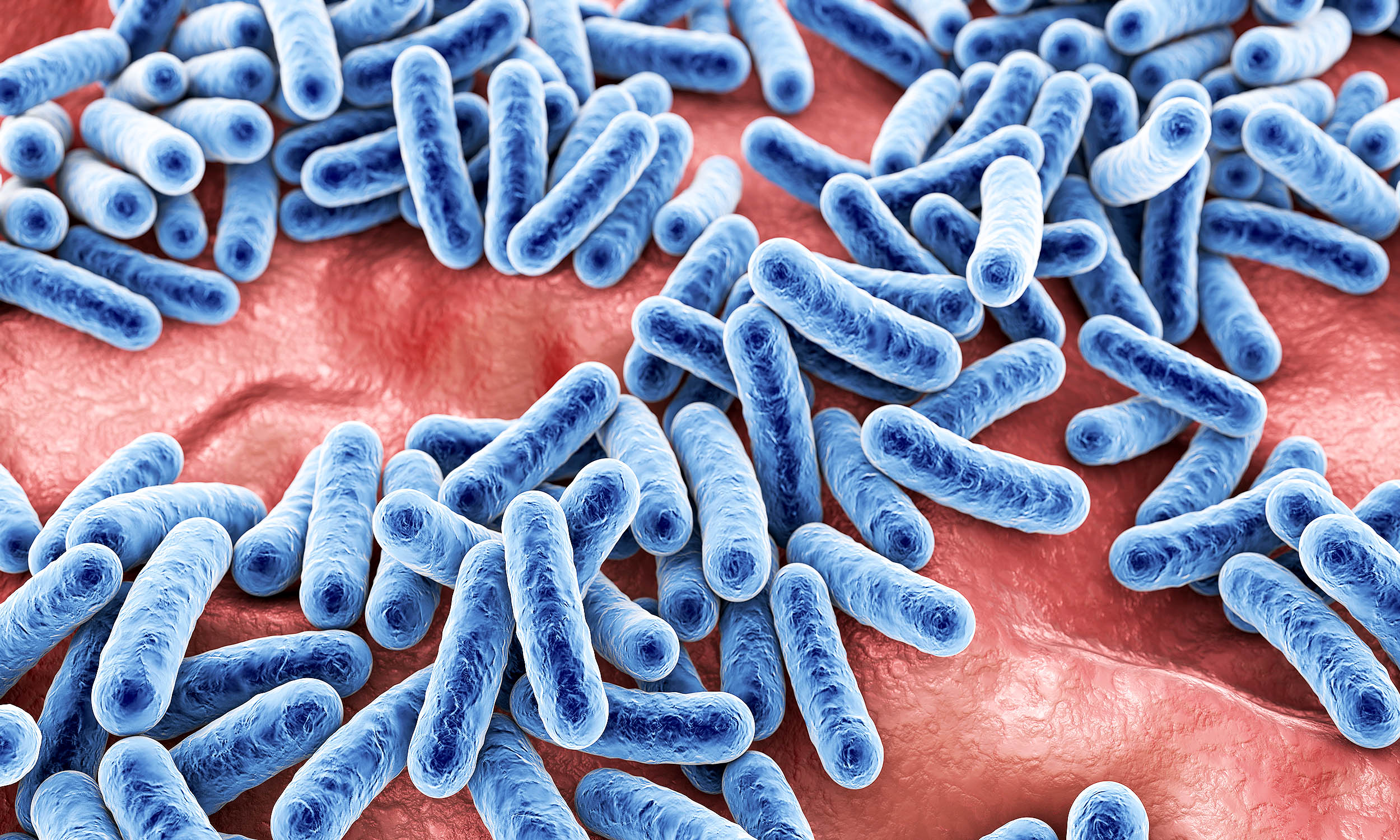 Milk, cheese, and other dairy are both good and bad for gut health