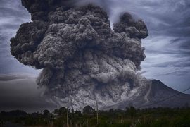 News article thumbnail