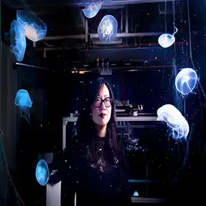 Nicole Xu stands behind the main jellyfish tank in her lab. (Credit: Glenn Asakawa)
