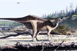 News article thumbnail