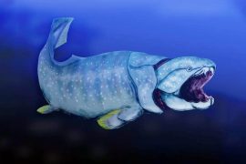 News article thumbnail