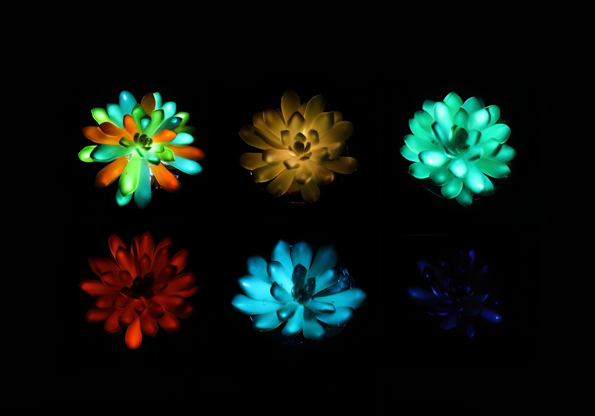 Glowing plants could replace street lamps in future cities
