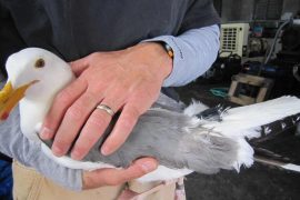 News article thumbnail