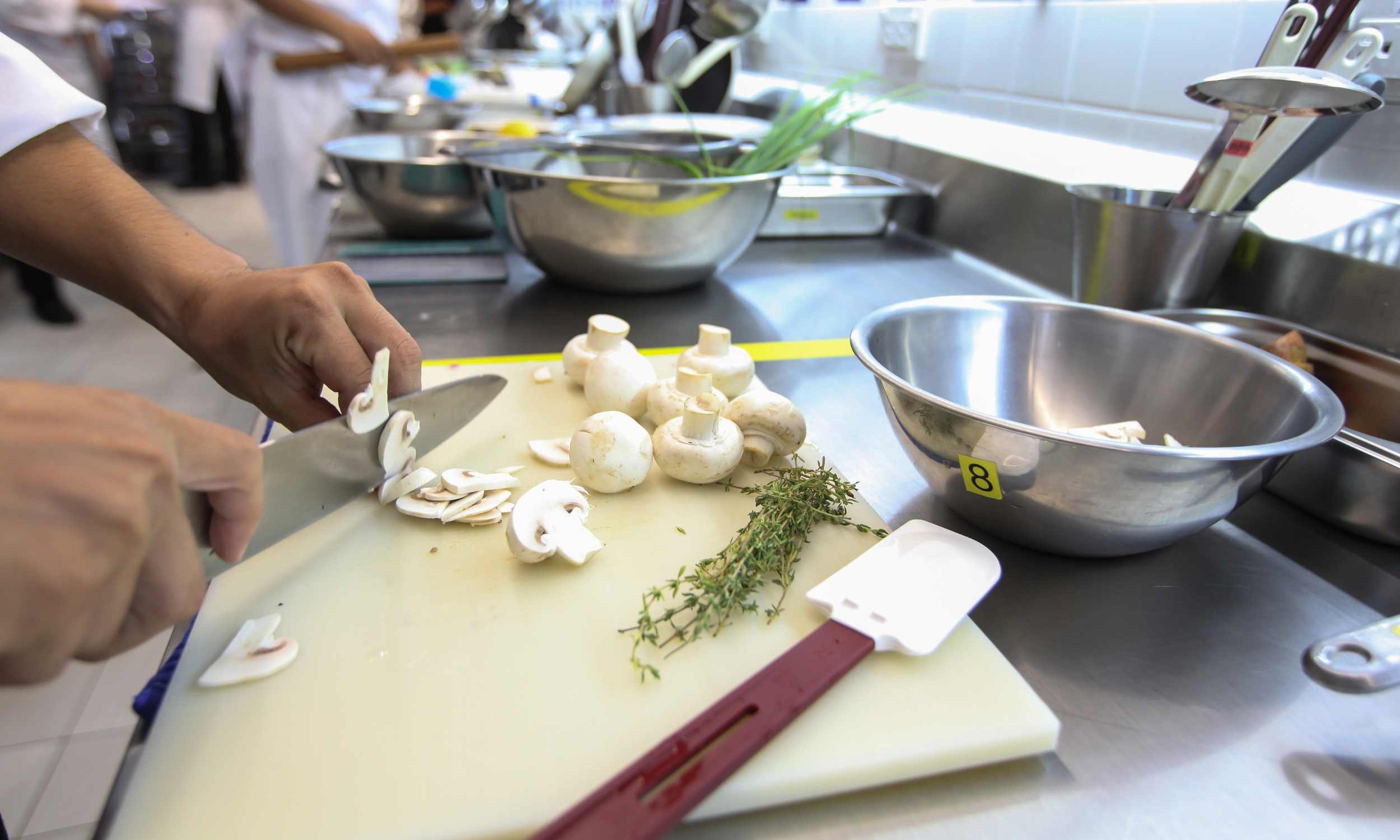 Old plastic cutting boards may shed gut-disrupting plastics