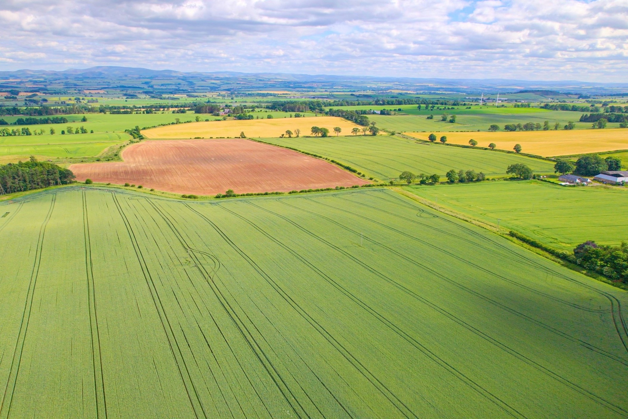 Ancient DNA shows what really spread the farming revolution