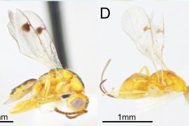 News article thumbnail