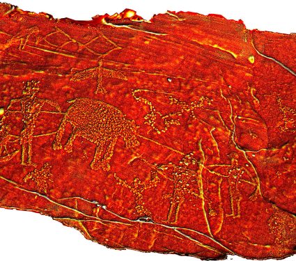 medium thumb with excerpt image