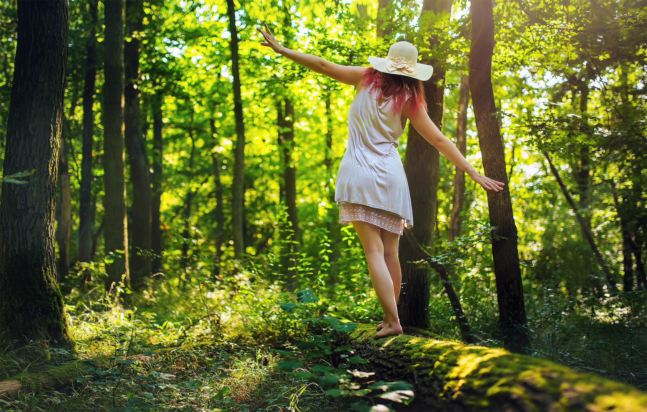 Walking in a forest can reshape who you are and bring inner peace