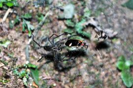 News article thumbnail