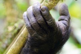 News article thumbnail