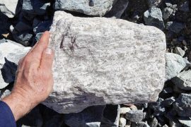 News article thumbnail