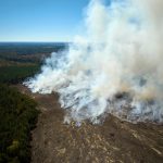 From ashes to action: Wildfire char holds a hidden climate solution