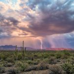 Greenhouse gases surge from desert soils just minutes after rain