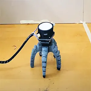 This biohybrid robot uses electrical signals processed from King Oyster mushroom mycelia to jump and move around. Credit: Cornell University